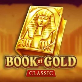 game logo by Playson on wintinoo.cz