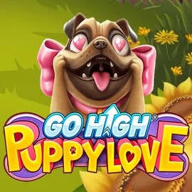 game logo by RubyPlay on wintinoo.cz